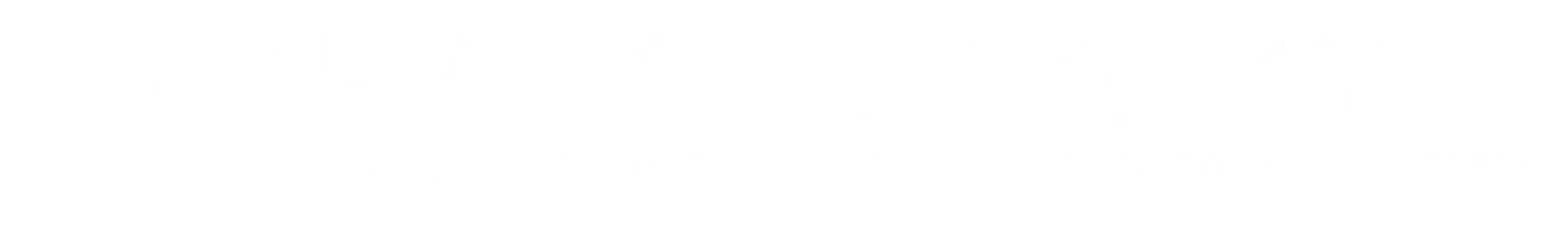 Logo Developers Group