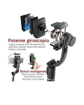 Gimbal